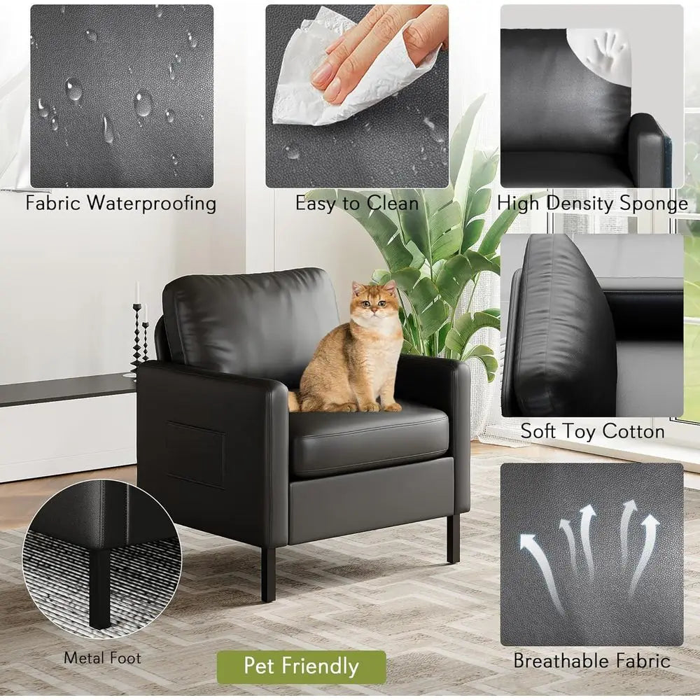 LISM Leather Accent Chair Set, Metal Frame, 2-Piece